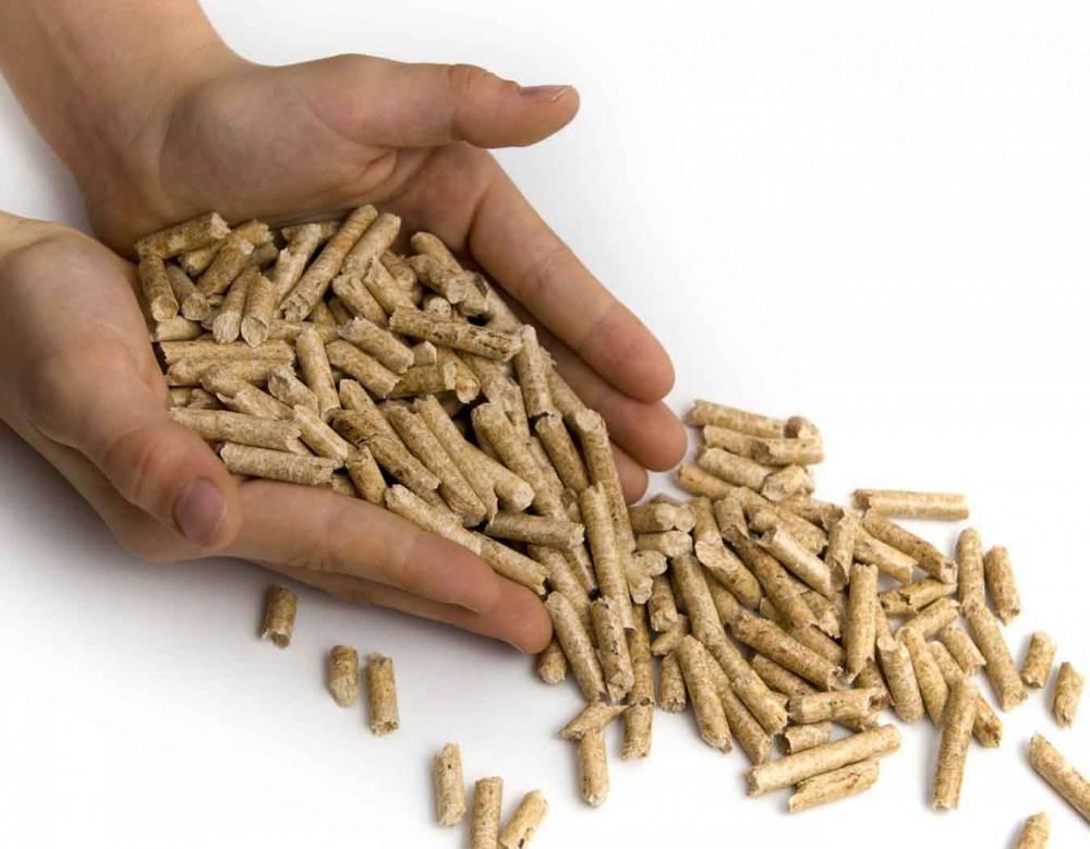 Pellet près de Binic